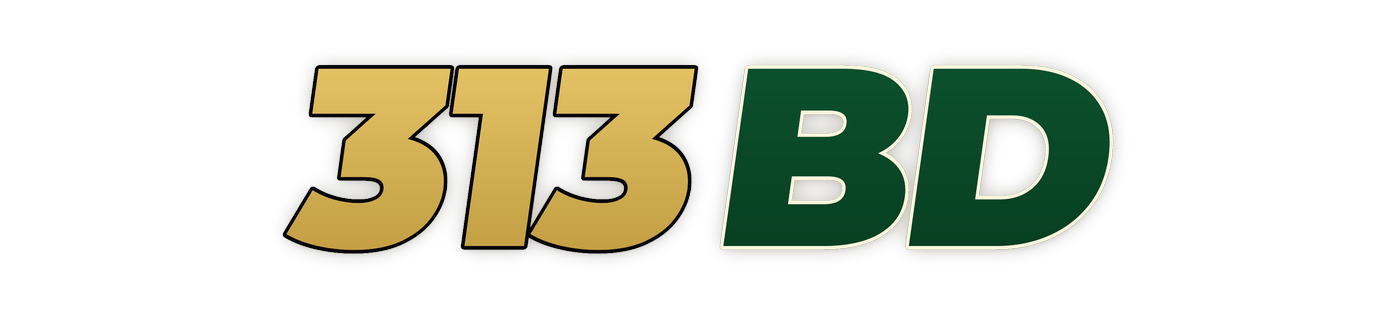 313bd